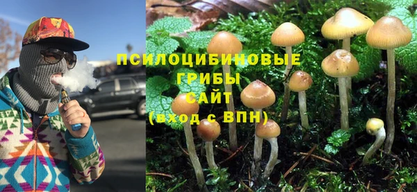 дмт Белокуриха