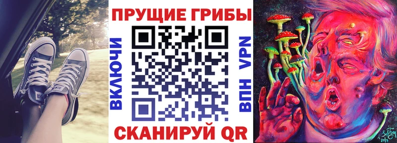 Псилоцибиновые грибы мухоморы  наркошоп  Гаврилов-Ям 